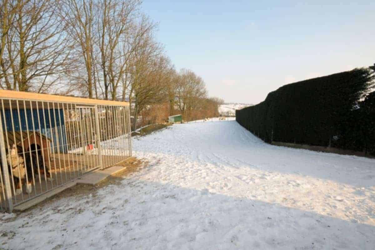 Hotel-restaurant De Vier Jaargetijden in Epen - foto 3